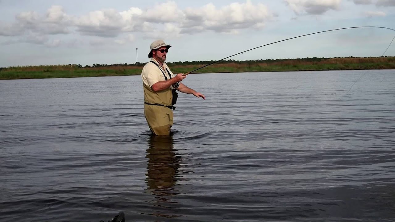 Shad Fishing on the St. Johns River YouTube