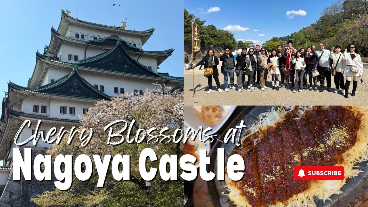 NAGOYA CASTLE || KINSHACHI YOKOCHO GOURMET TOWN || SHOPPING AROUND SAKAE