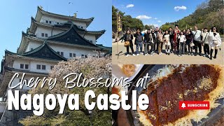 NAGOYA CASTLE || KINSHACHI YOKOCHO GOURMET TOWN || SHOPPING AROUND SAKAE
Visiting Nagoya Castle and trying out Misokatsu Yabaton at the Kinshachi Yokocho area. We were lucky to still see some cherry blossoms. Also went inside Honmaru Palace. We also went shopping around Sakae area and finally got to try McDonalds in Japan.
#japantravel #nagoya #misokatsuyabaton #nagoyacastle #sakae #mcdonaldsjapan
FOLLOW ME ON IG:
https://www.instagram.com/ioshipolito/
NAGOYA VLOG:
https://youtu.be/5W_6Vtk4Jtk?si=g2vwFsHyfROiJRYe
https://youtu.be/doc1DH43bm0?si=yyaUoSVIqxP4QYEO
https://youtu.be/C6cdm45Txzs?si=EW-0lJJWfdXbEdwd
https://youtu.be/Cw_iFuP5190?si=ncKmIwknl3U1PJoT
JAPAN VLOGS:
https://youtube.com/playlist?list=PLqA8EtWUQ22hRL27CBH3muhsXUR9oJuOZ&si=9NIF9Bn_pOwUXRHr NAGOYA CASTLE || KINSHACHI YOKOCHO GOURMET TOWN || SHOPPING AROUND SAKAE