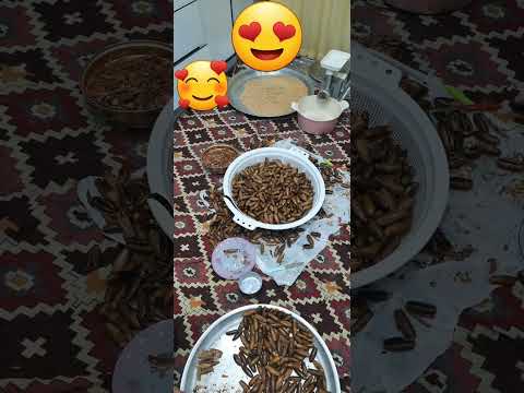 طبیعت  آرد بلوط