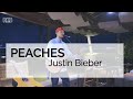 Peaches  justin bieber  pkb live looping  cover