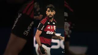 e golaço batcar#pegadeboinomato