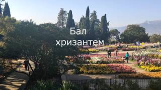 Бал хризантем в Никитском ботаническом саду Ноябрь 2019