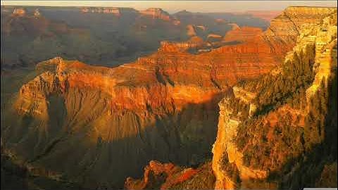 أحمد تميم المراغي #سورة الجن