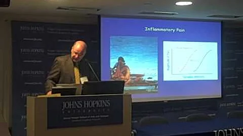 Making Sense of Pain, Part II