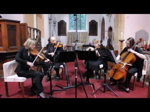 Wings: Birdy. Capriccio Quartet arr Helen Marple-Horvat