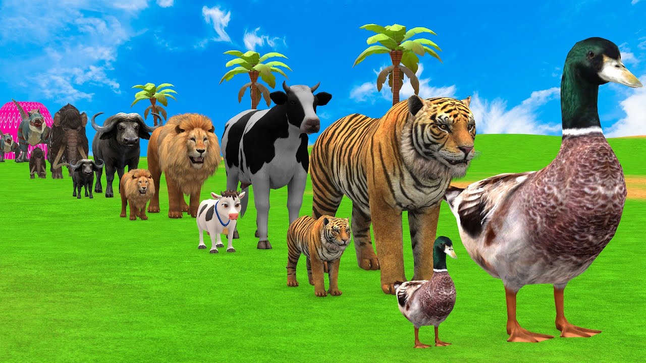 Long Slide Game with Cow Elephant Gorilla Hippopotamus Tiger 3d Animal Game Funny 3d Animals
