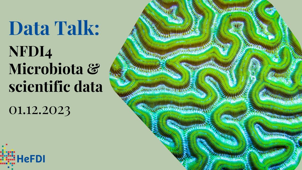 HeFDI Data Talk: NFDI4Microbiota Infrastructure for scientific data ...