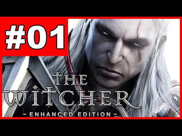 The Witcher Enhanced Edition - Instalação da legenda em PT/BR 