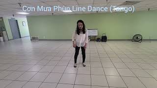 Cơn Mưa Phùn (Tango) Line Dance Tutorial.