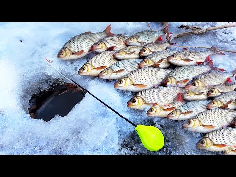 КАК ОНА ДУБАСИТ на ГВОЗДЬ!!! РЫБАЛКА на БАЛАНСИР и МОРМЫШКУ