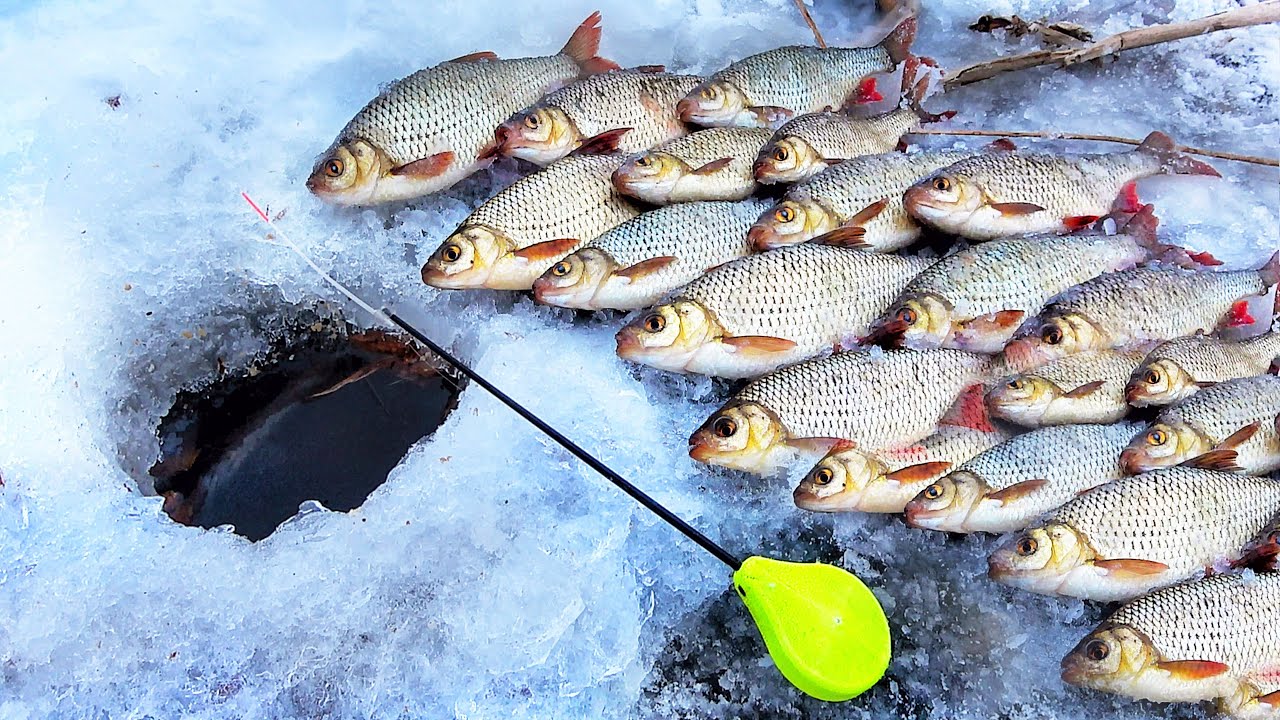 КАК ОНА ДУБАСИТ на ГВОЗДЬ!!! РЫБАЛКА на БАЛАНСИР и МОРМЫШКУ