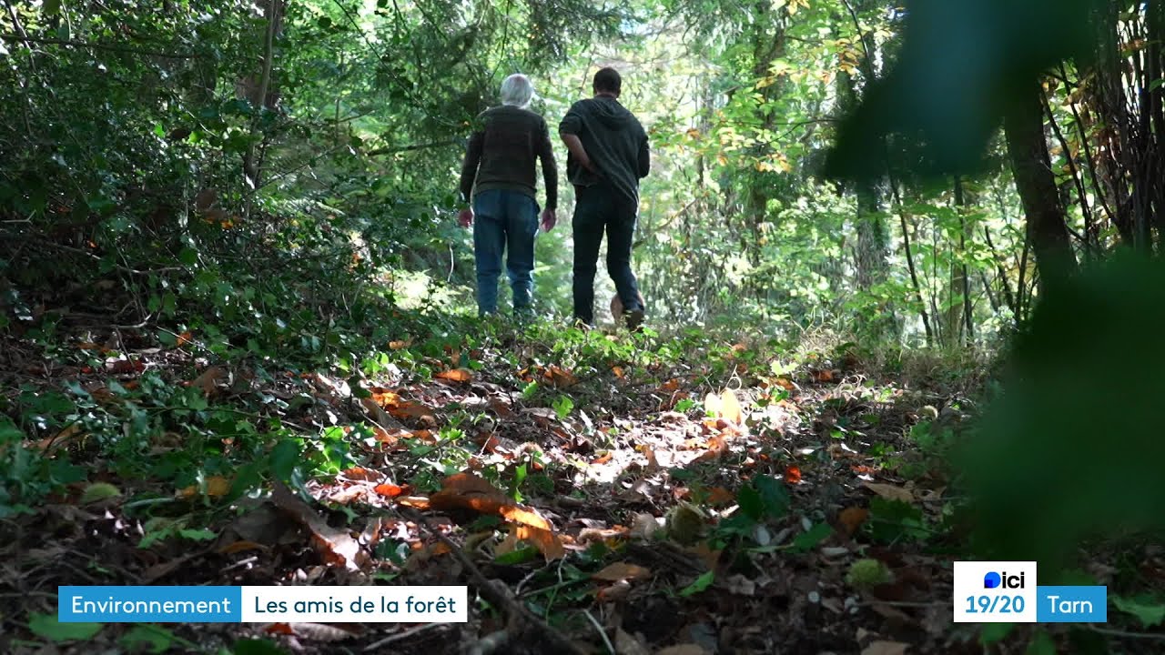 Des citoyens se regroupent pour gérer durablement les forêts