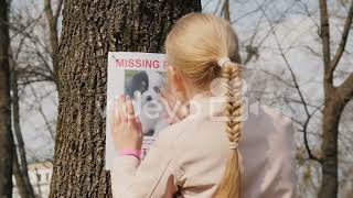 Missing pet poster 2 Net Worth
