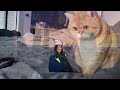 nyc video diary | architecture student internship