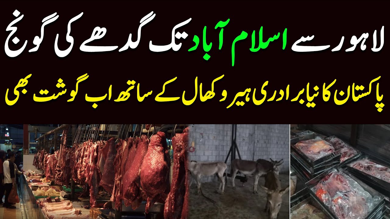Donkey meat seized in Islamabad’s Tarnol by city’s food authority - Complete Details of Big News