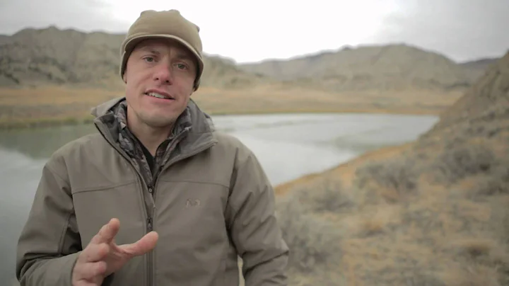 History of the American Wild Turkey - Conservation Field Notes with Steven Rinella