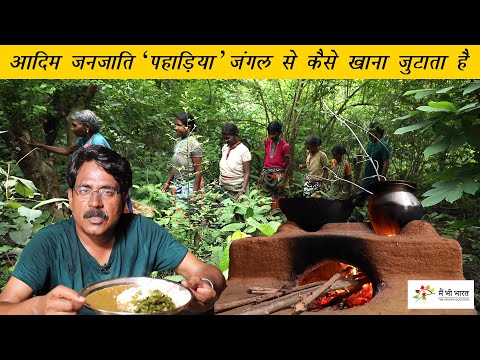 How primitive tribe gathers food from the Jungle | पहाड़िया जंगल से कैसे खाना जुटाते हैं