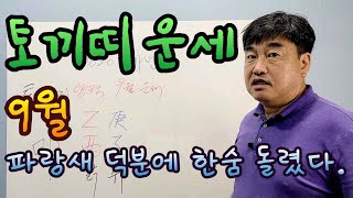 토끼띠 운세 9월, 파랑새 도움의 손길로 어려운 일 극복했다. 파랑새는 파랑새로 남아있어야 하는데, 사람마다…