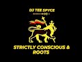 Reggae mix  strictly conscious  roots  positive vibes  bob marley dennis brown sizzlacapleton