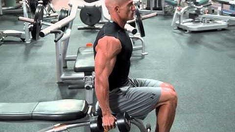 Seated Dumbbell Curl