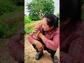 Best Video Of CUTE Sokhaa And Fun ADORABLE Animal WILL MAKE YOU SMILE Short Best Video Of CUTE Sokhaa And Fun ADORABLE Animal WILL MAKE YOU SMILE Short