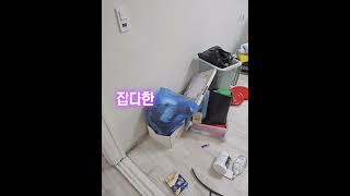 양천구 신월동 가정폐기물 수거 처리