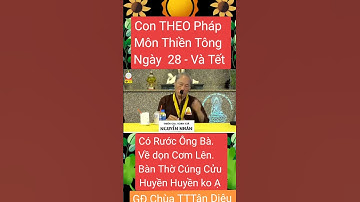 CON THEO PHÁP MÔN THIỀN TÔNG NGÀY 28 VÀ TẾT CÓ RƯỚC ÔNG BÀ VỀ DỌN CƠM LÊN BÀN THỜ & CHÙA TÂN DIỆU