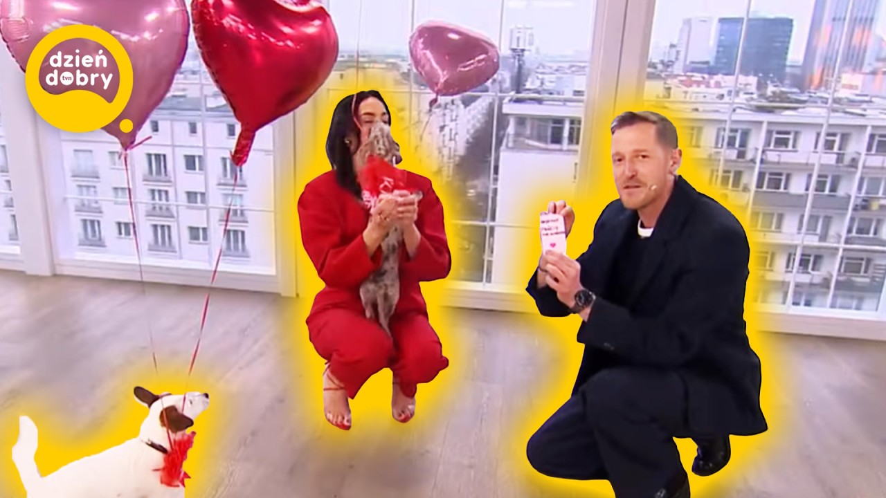 Psia niespodzianka dla prowadzących! | DDTVN