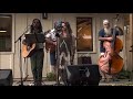 The Mushroom Herders - Can't Always Take A Walk On The Wild Side & Kick It
