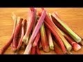 Rhubarb 101 - Everything You Need To Know About Rhubarb