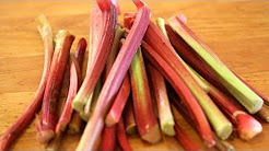 Rhubarb 101 - Everything You Need To Know About Rhubarb
