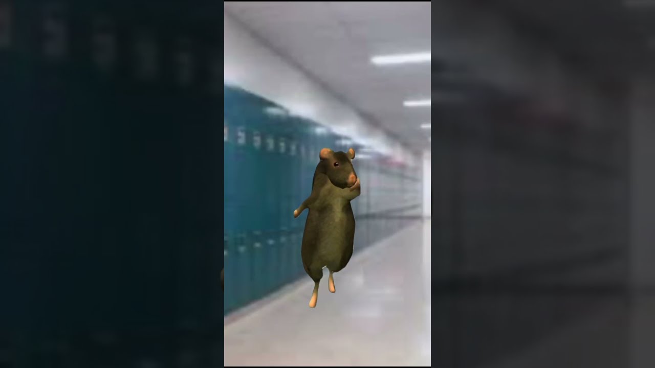 Rat Dance Meme Ratdance Ishowspeed School Fyp Foryou Foryoupage Shorts Ytshorts