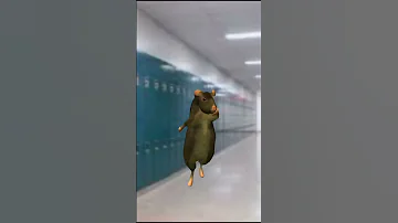 Rat Dance Meme Ratdance Rat Dance Ishowspeed School Fyp Foryou Foryoupage Shorts Ytshorts 