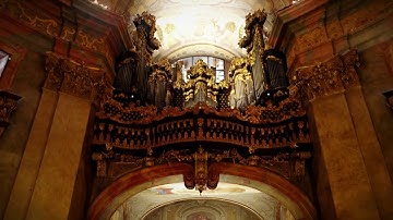 Euclideon SOLIDSCAN - Capture Reality