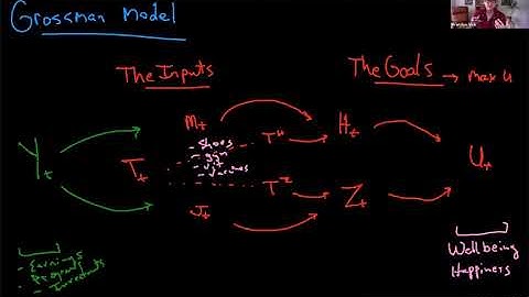 Vick Grossman Model 4: Health as an Input into our Production and Ability to Generate Income