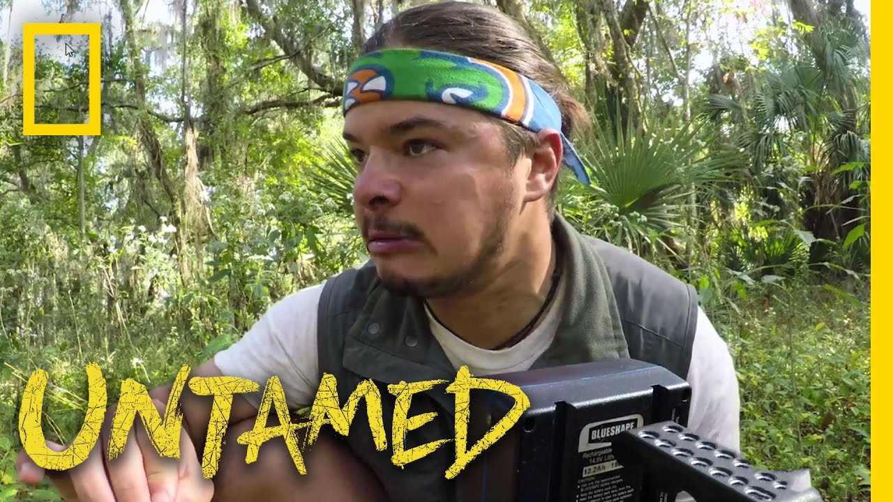 Resultado de imagen para Untamed with Filipe DeAndrade