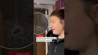 Drollen Drijven Door De Gang