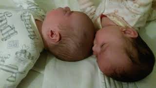 Sister sucking twin brother 's head (Sestra cucá bratovi hlavu)