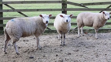 Manufacturing Special: Harrison Spinks