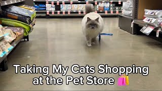 Cats Go on Shopping Trip by The Lexi Bunch 180 views 1 month ago 1 minute, 21 seconds