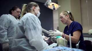 Student Experiences - Pima Medical Institute