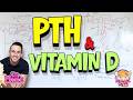 Parathyroid Hormone & Vitamin D