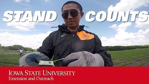 Soybean Stand Counts