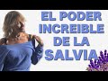 144.Salvia es mano de Santo. Cura casi todo. Detalles tambien en comentario fijado. Aceite esencial.