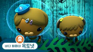 바다 탐험대 옥토넛 - 다시마숲의 비밀 - 모음집