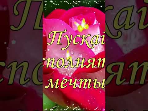 с 8 марта дорогие женщины. #song #sohrts