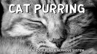Calming Cat Purring Sounds  Fall asleep or relax to the soothing sound of Cat/Kitten purring..Prrrr