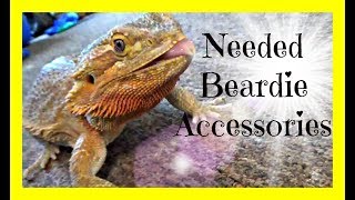 Needed Bearded Dragon Accessories