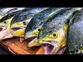 Dorado, Mahi Mahi, Dolphin {Catch Clean Cook}  Mahi Piccata